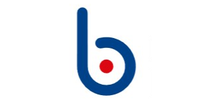 Braunschweig Beteiligungen GmbH*